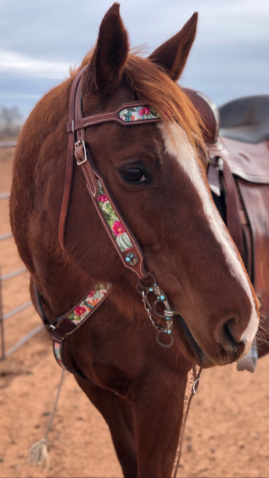 Tack Sets