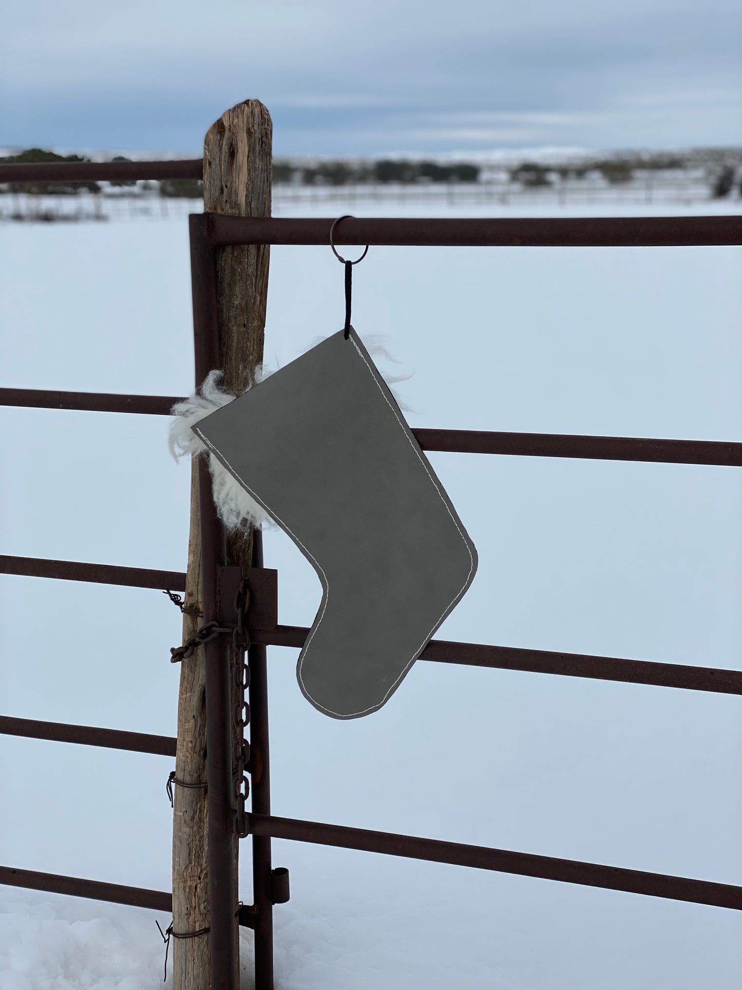 Serape and Shiny Black Stocking