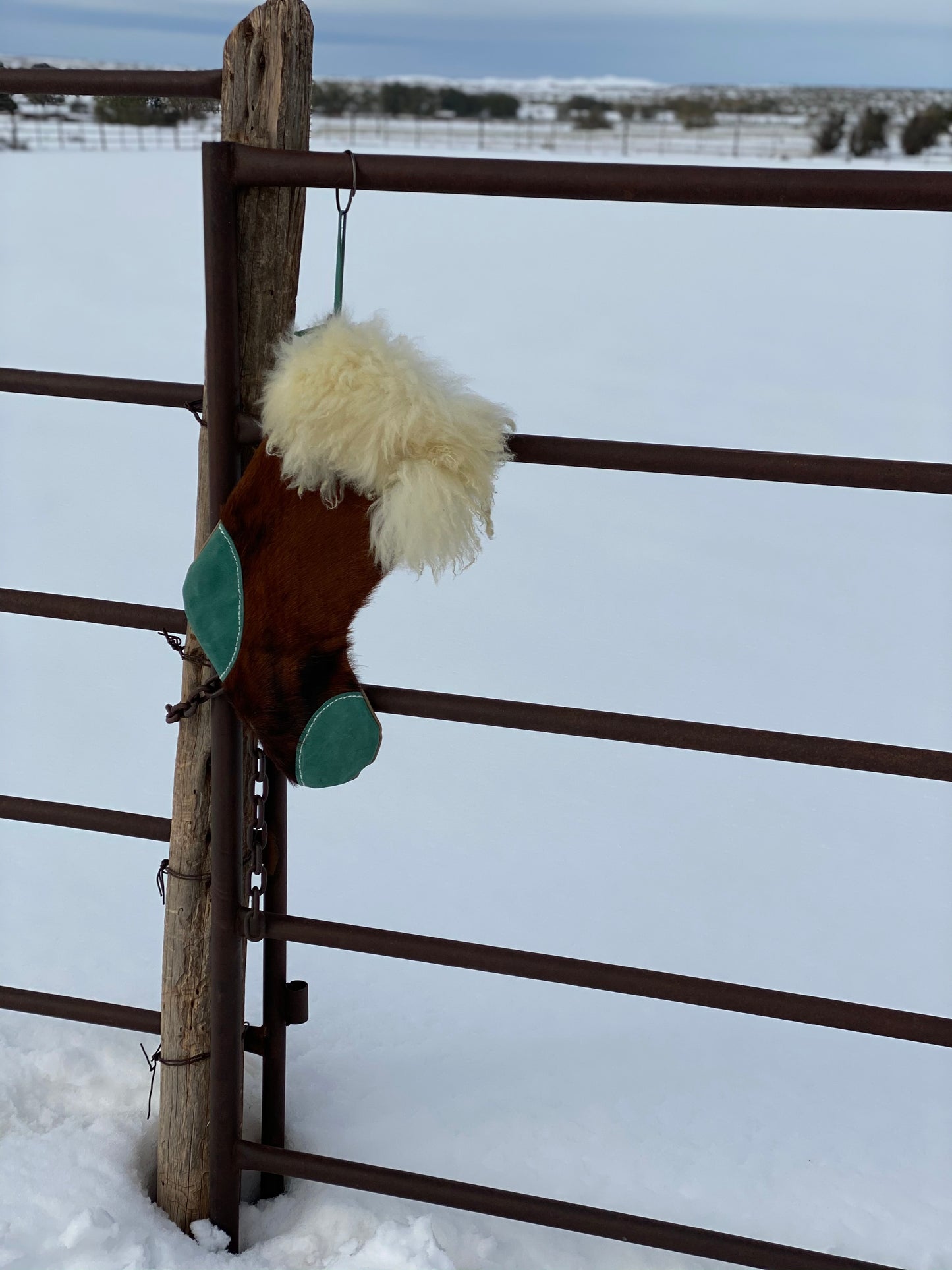Hair on Cowhide and Turquoise Stocking