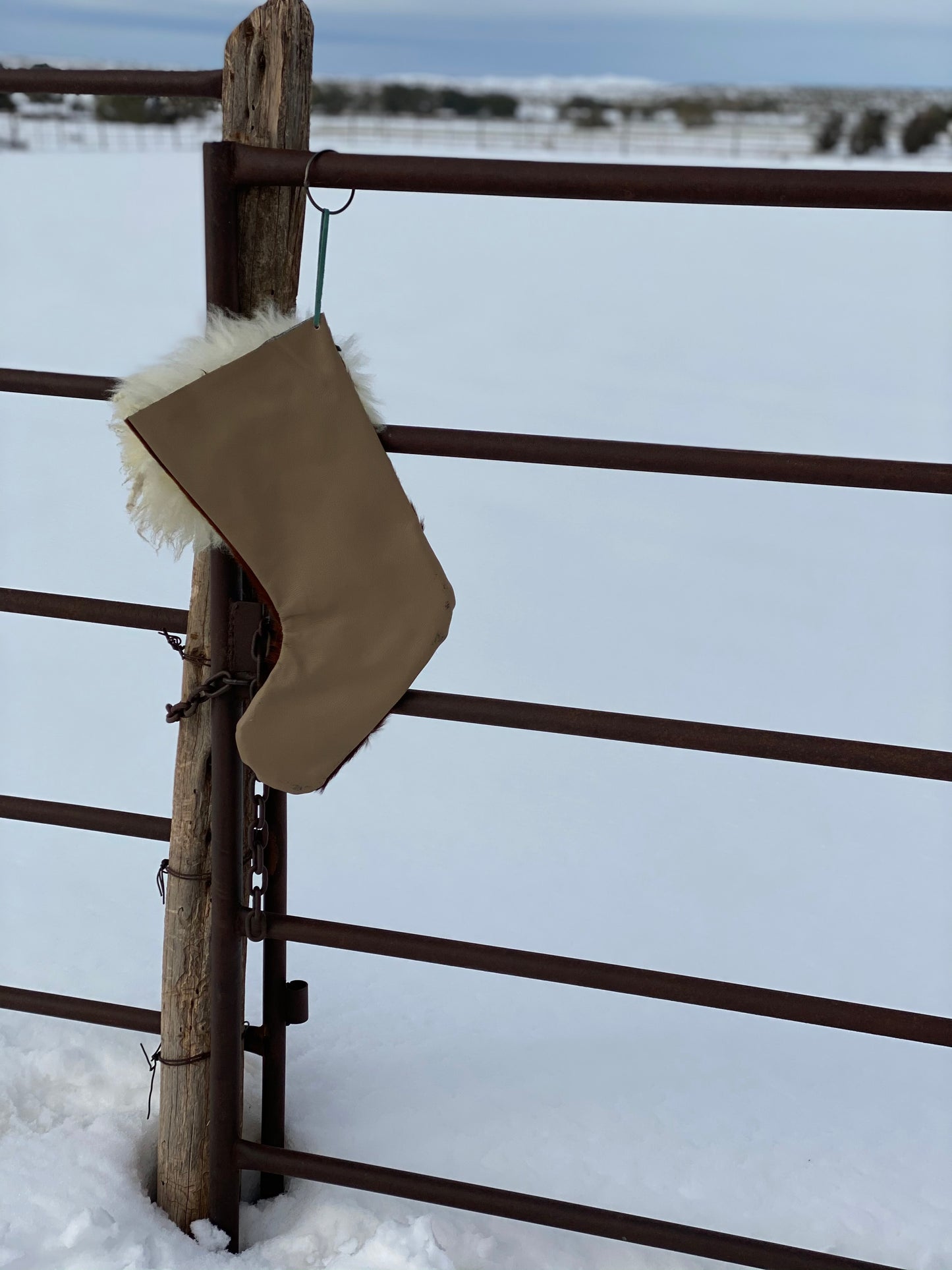 Hair on Cowhide and Turquoise Stocking