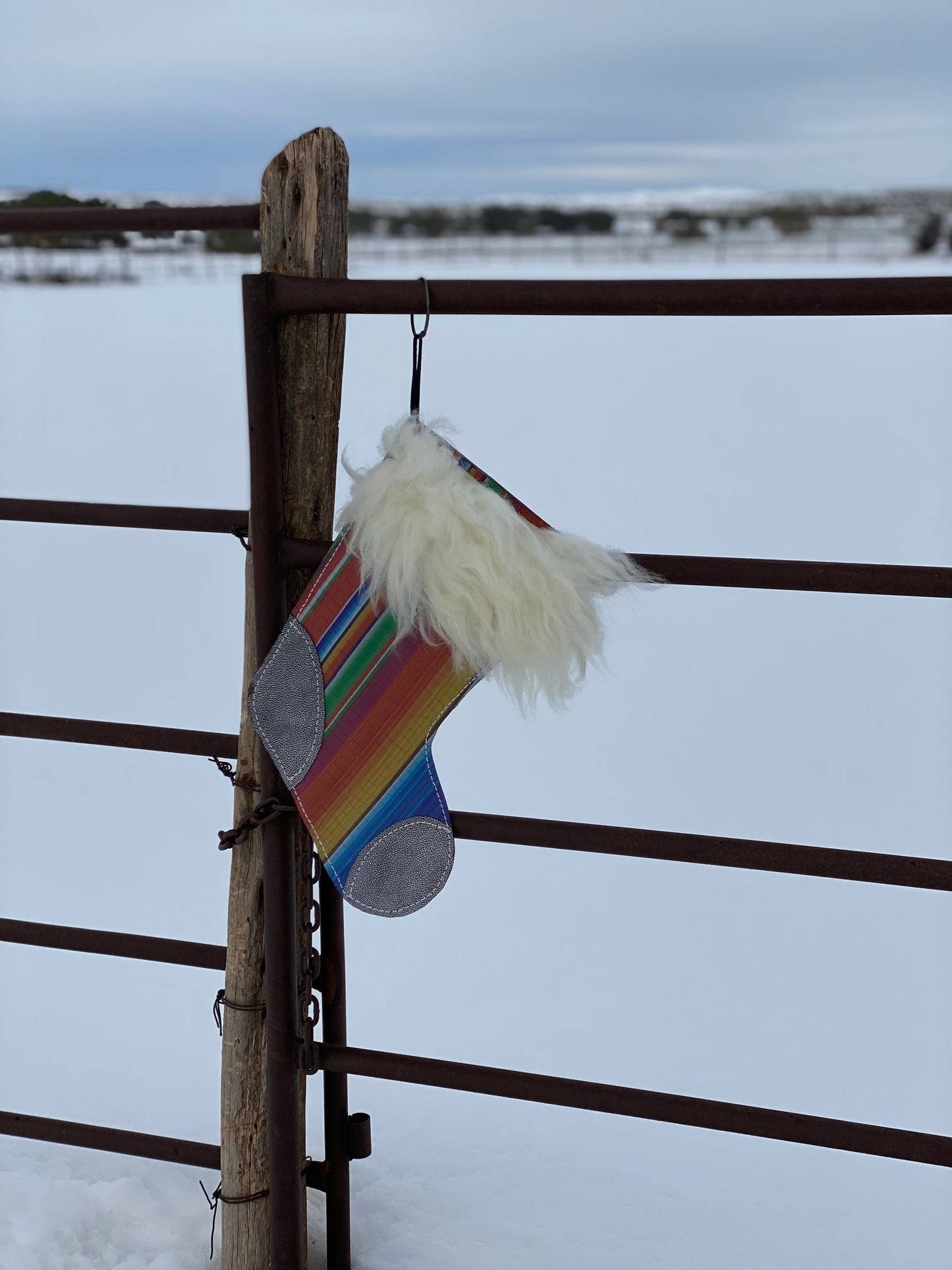 Serape and Shiny Black Stocking