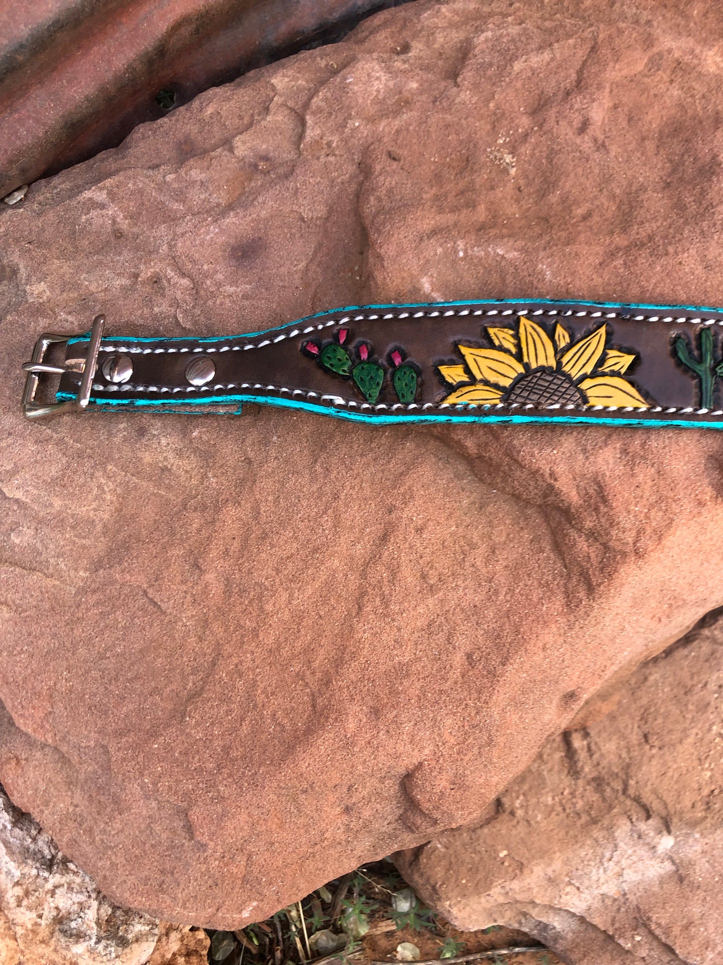 Sunflower and Cacti Dog Collar