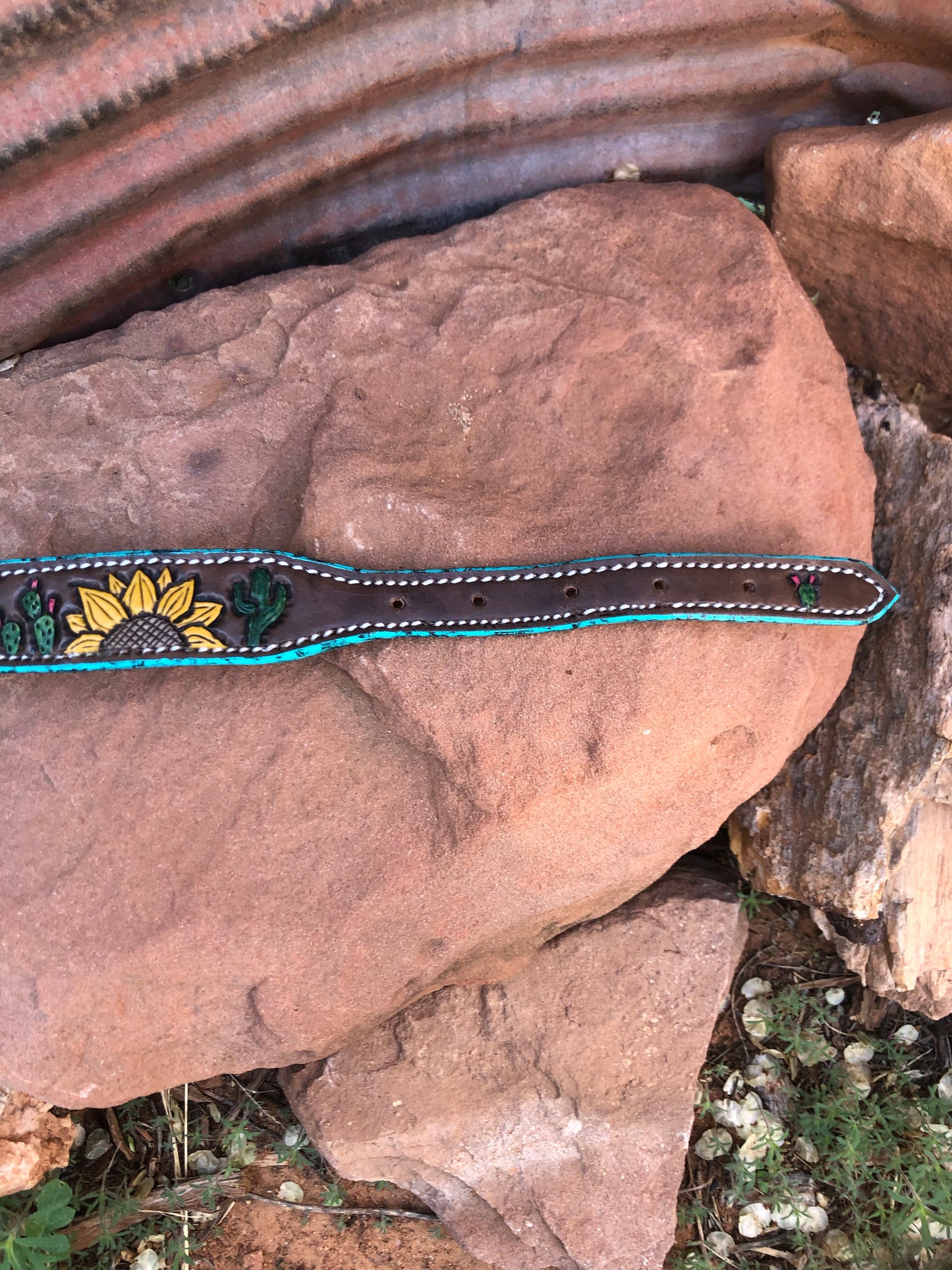 Sunflower and Cacti Dog Collar